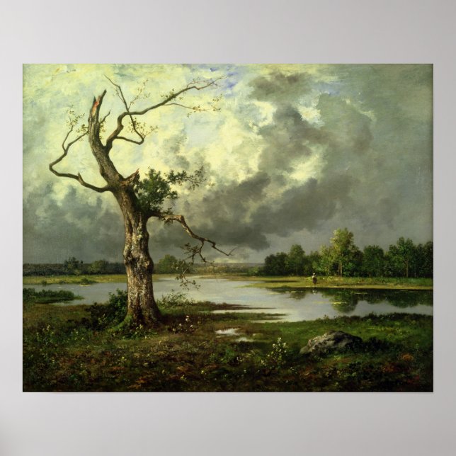 French River Landscape Poster (Front)