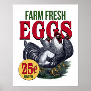 French Rooster Farm Fresh Eggs Advertisement Print