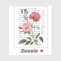 French Rose Carte Postale Vintage Script