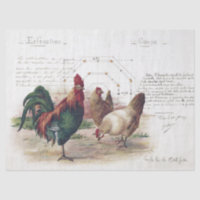 French Script Hen Chicken Farmhouse Decoupage 