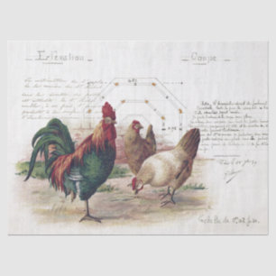 French Script Hen Chicken Farmhouse Decoupage  Tissue Paper