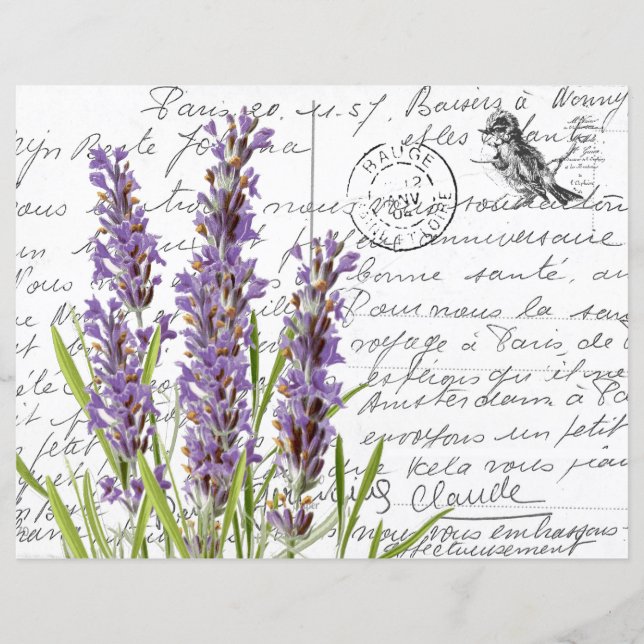 French Script Vintage Lavender Bird Postcard (Front)