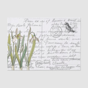 French Script Vintage Snowdrop Bird Postcard  Tissue Paper