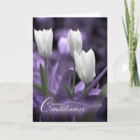 French Sympathy Condoléances Purple White Tulips