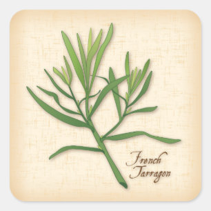 French Tarragon Herb Stickers