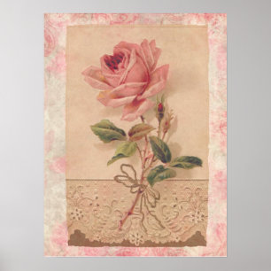 French Victorian Pink Rose Poster