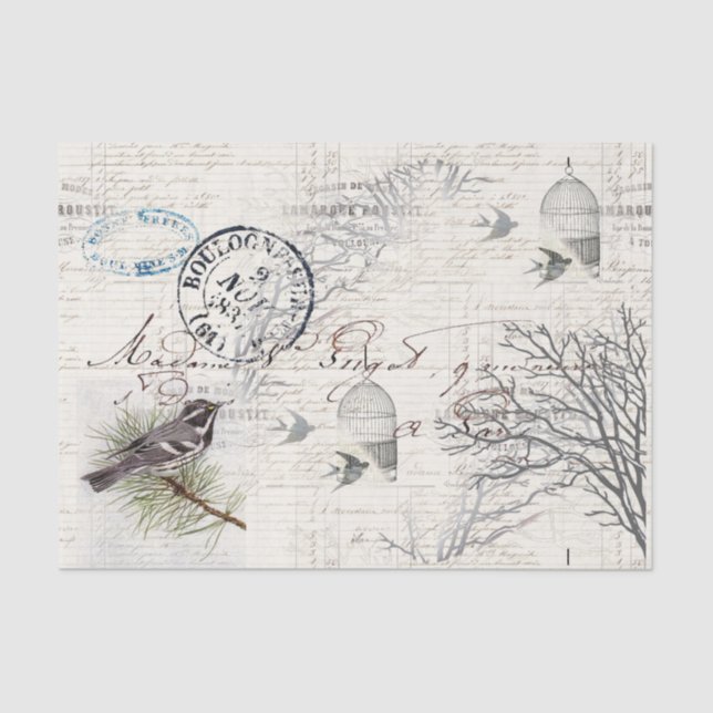 French Vintage Bird and Branch Tissue Paper (Front)