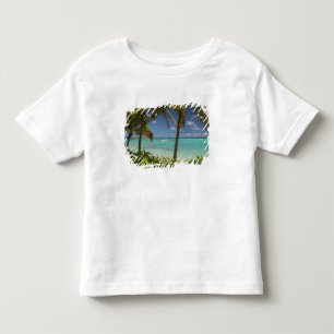 French West Indies, Guadaloupe, Grande Terre, 2 Toddler T-Shirt