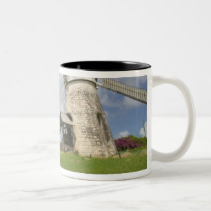 French West Indies, Guadaloupe, Marie, Galante Two-Tone Coffee Mug
