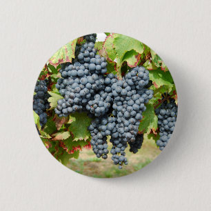 French Wine Grapes 6 Cm Round Badge