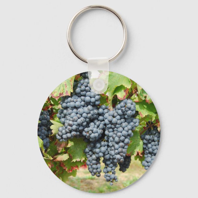 French Wine Grapes Key Ring (Front)