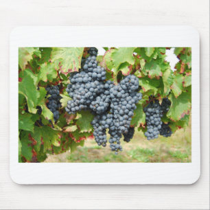 French Wine Grapes Mouse Pad