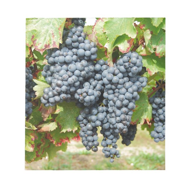 French Wine Grapes Notepad (Front)
