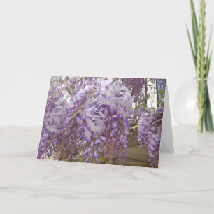 French Wisteria Holiday Card