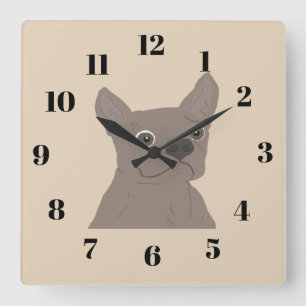 Frenchie, beige square wall clock