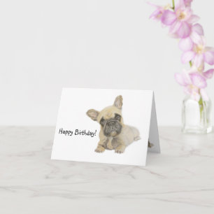 Frenchie Birthday  Card
