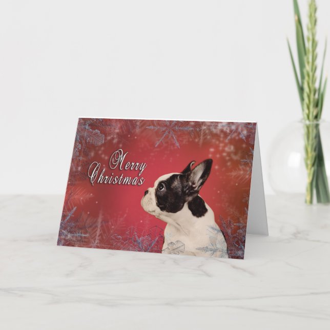 Frenchie Christmas card (Front)