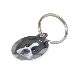Frenchie French Bulldog Dog Cat Tag
