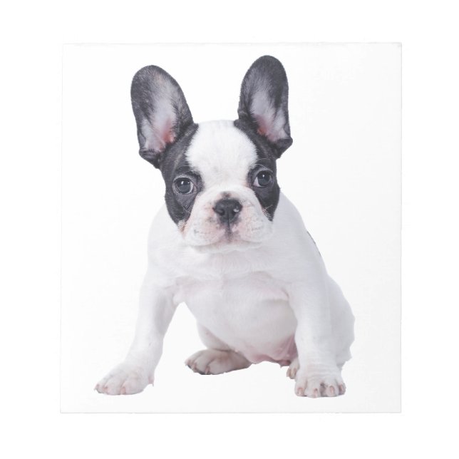 Frenchie - French bulldog puppy Notepad (Front)
