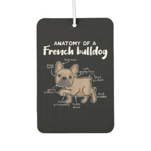 Frenchie Gift Anatomy Of A French Bulldog Gift Car Air Freshener