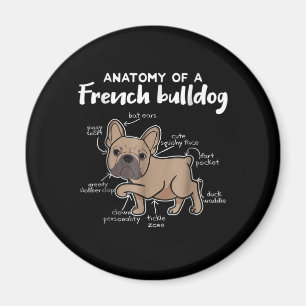 Frenchie Gift Anatomy Of A French Bulldog Gift Magnet