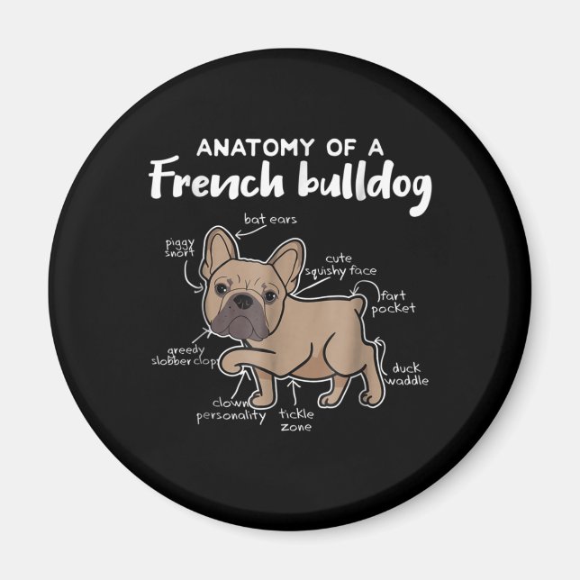 Frenchie Gift | Anatomy Of A French Bulldog Gift Magnet (Front)