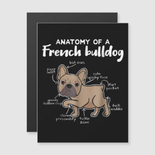 Frenchie Gift Anatomy Of A French Bulldog Gift Magnetic Invitation