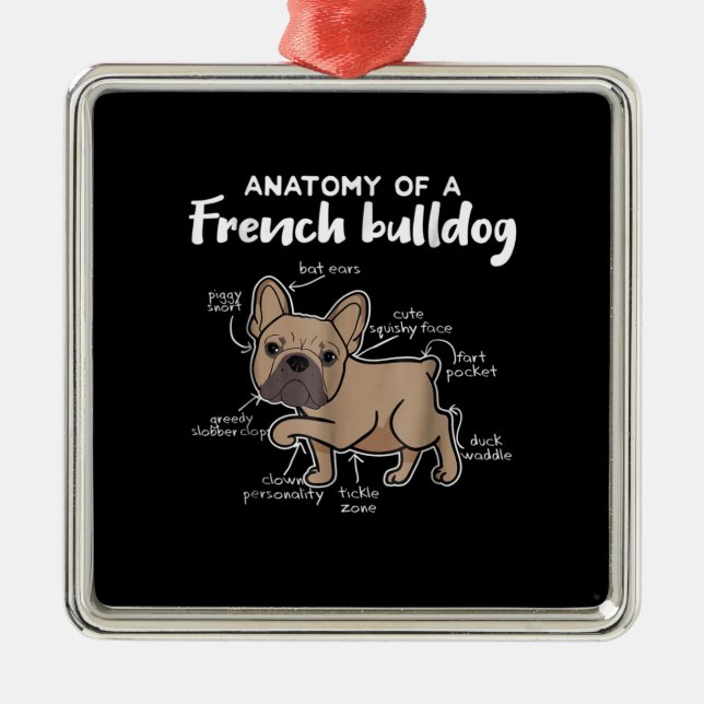 Frenchie Gift | Anatomy Of A French Bulldog Gift Metal Ornament (Front)