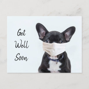 Frenchie in face mask get well postcard