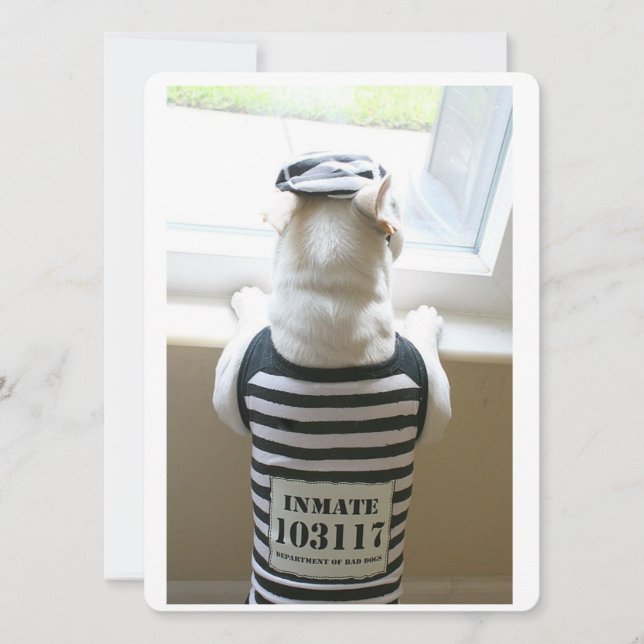 Frenchie Jailbird Happy Birthday Card (Front)
