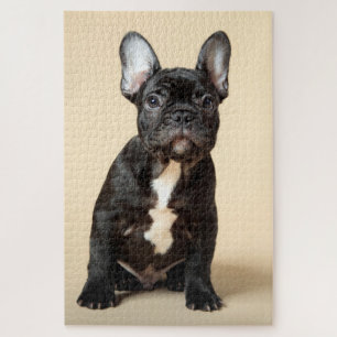 Frenchie Puppy Jigsaw Puzzle