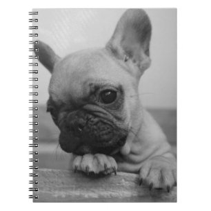 Frenchie puppy notebook