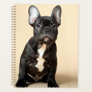 Frenchie Puppy Planner