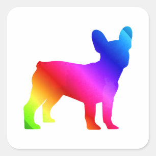 Frenchie   square sticker
