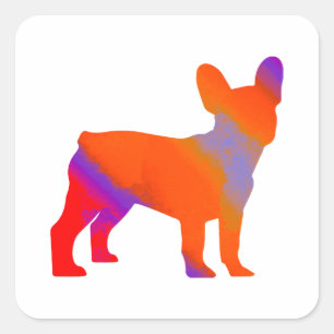 Frenchie  square sticker