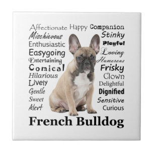 Frenchie Traits Ceramic Tile