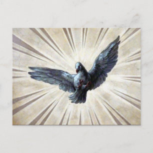 fresco dove postcard