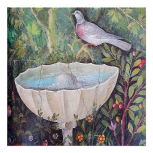 Fresco of Pigeon and a Fountain, Pompeii Poster