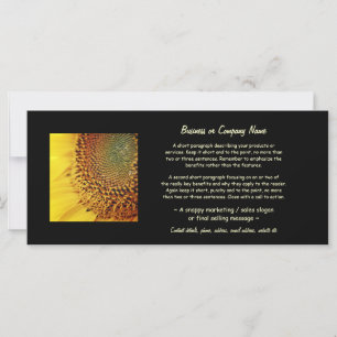 Fresh and Golden Sunflower