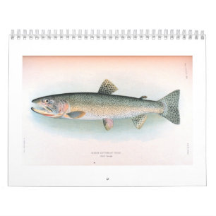 Fresh and Saltwater Fish Calendar