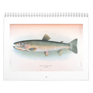 Fresh and Saltwater Fish Calendar