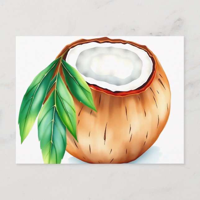 Fresh and Vibrant Watercolor Coconut on White  Postcard (Front)
