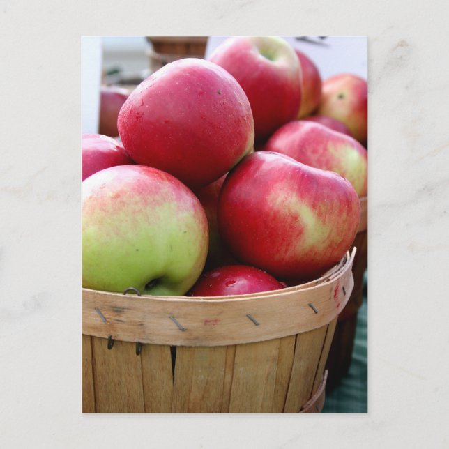 Fresh Apples in Basket at Farmers Market Postcard (Front)