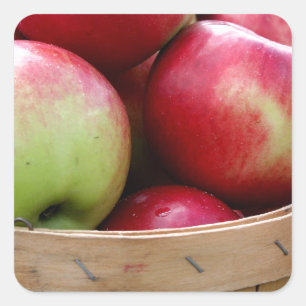 Fresh Apples in Basket at Farmers Market Square Sticker