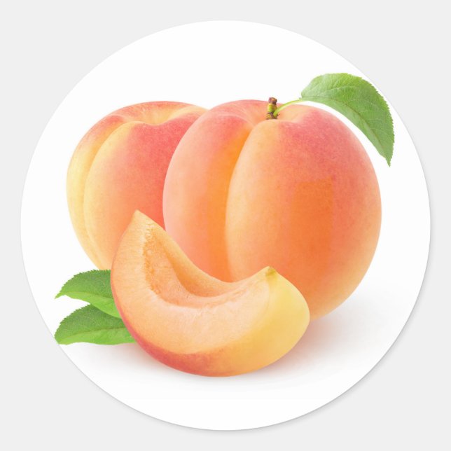 Fresh apricots classic round sticker (Front)