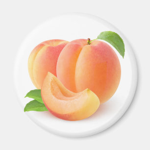 Fresh apricots magnet