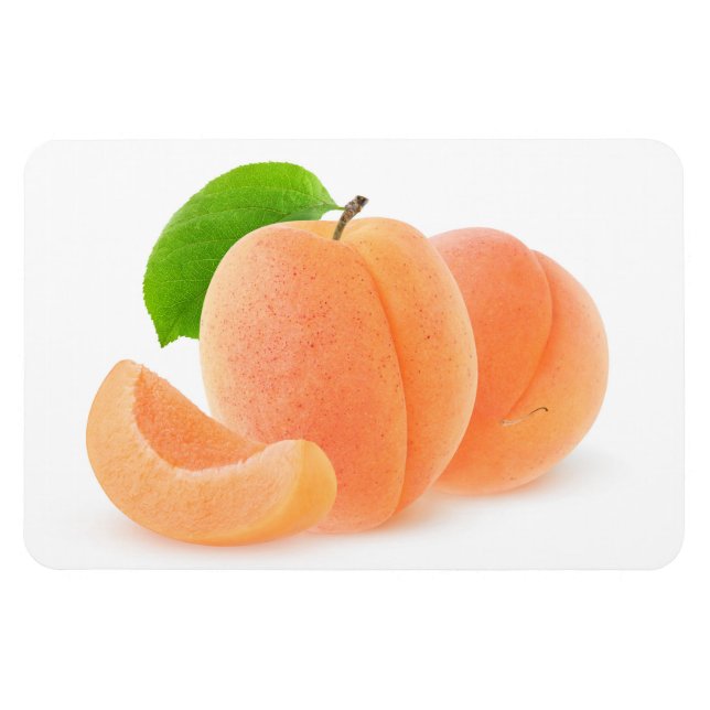 Fresh apricots magnet (Horizontal)