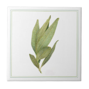 FRESH BAY LEAVES 4.25x4.25 Ceramic Tile (-text)