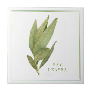 FRESH BAY LEAVES 4.25x4.25 Ceramic Tile (+text)
