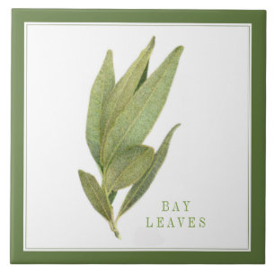 FRESH BAY LEAVES 6"x6" Ceramic Tile (+text) Green